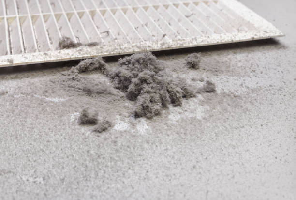 Best Professional Duct Cleaning Services  in Stevenson, AL